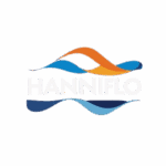 nouveau logo hanniflo sans arriere plan