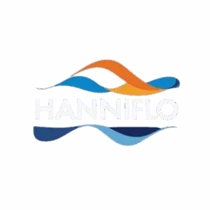 nouveau logo hanniflo sans arriere plan